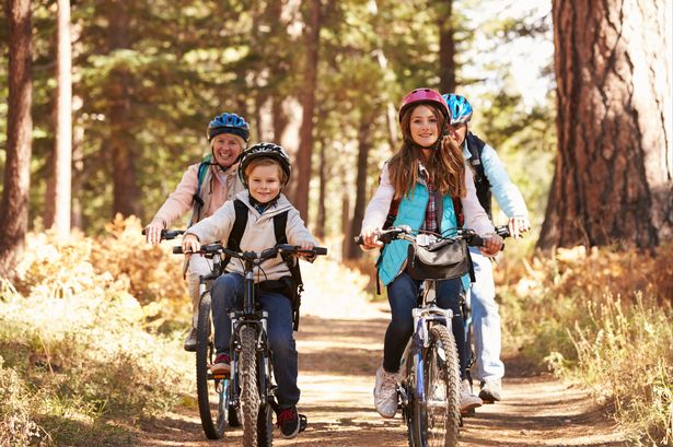 family bike rides near me