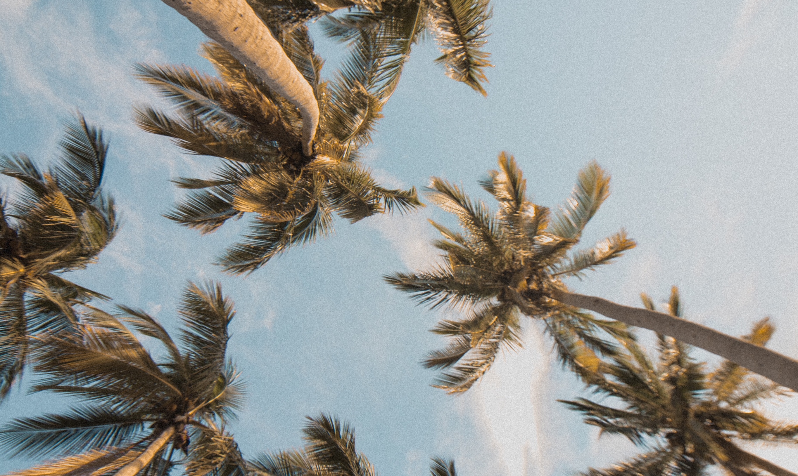 Picsart banner for @mariam