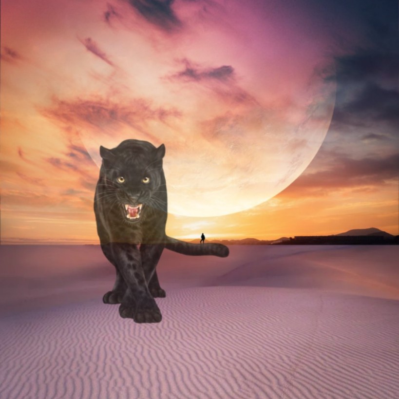 Picsart profile picture for @slithering