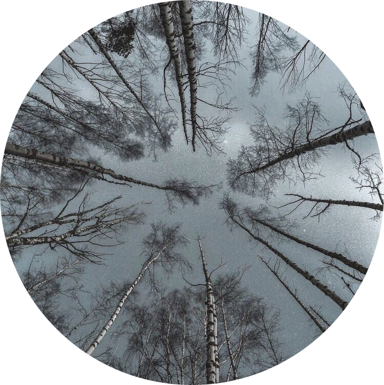 greyaesthetic grey aesthetic freetoedit sticker by kardi_13