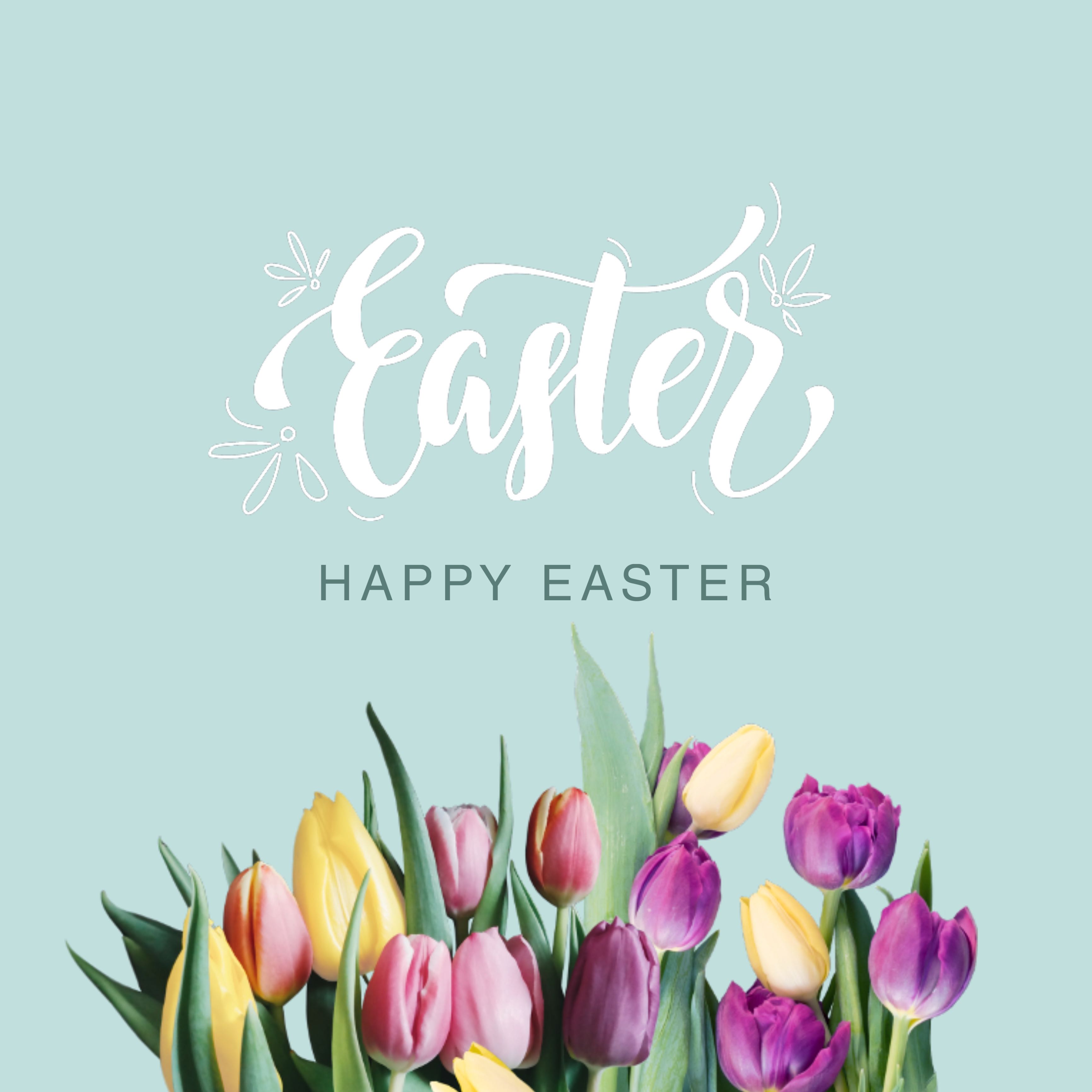 Happy Easter ??Create your own Easter cards with our new Easter templates ? #easter #happyeaster #bunny #flowers #spring #freetoedit 
