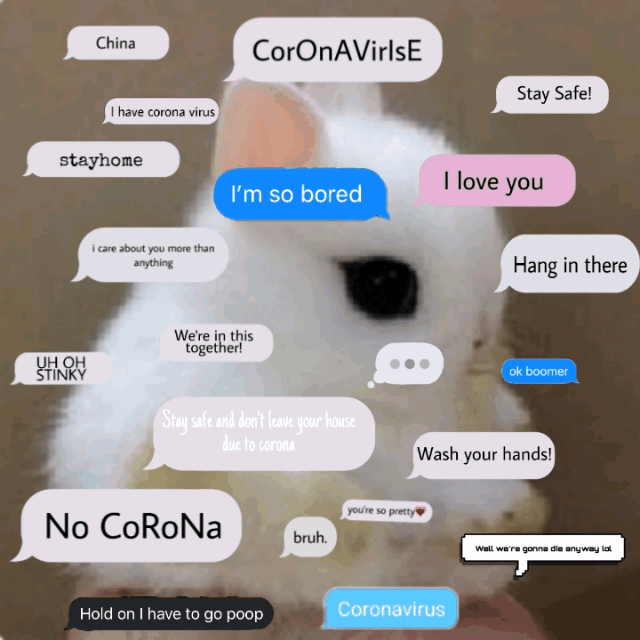 I M Not Going To Tell You Gif By Brooklynnbrownfield I M Not Going To Tell You Gif By Brooklynnbrownfield