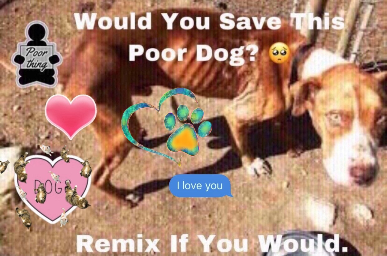 saved-to-drive