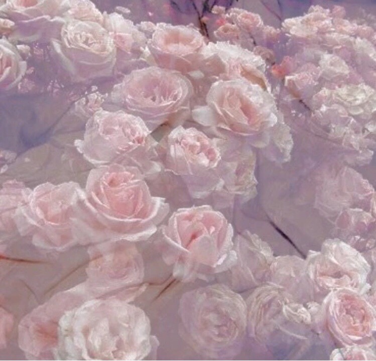 flowers pink purple soft aesthetic image by @cherryy_cola