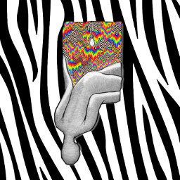 edit illusion psychedelic freetoedit art ecanimalprints animalprints