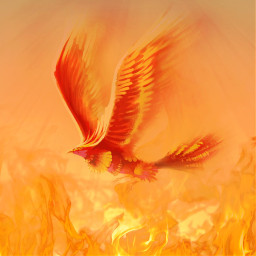freetoedit phoenix pheonix fire flame