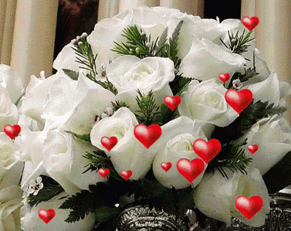 Flowers Gif Gif By Majed Bazadough Flowers Gif Gif By Majed Bazadough