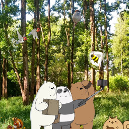 freetoedit somososos webarebearsforever pardo panda polar viral bosque parque nosemeocurrenmas