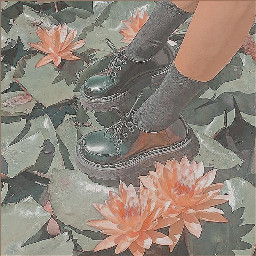 aesthetic shoes
🖇 soft green plants
🖇 freetoedit