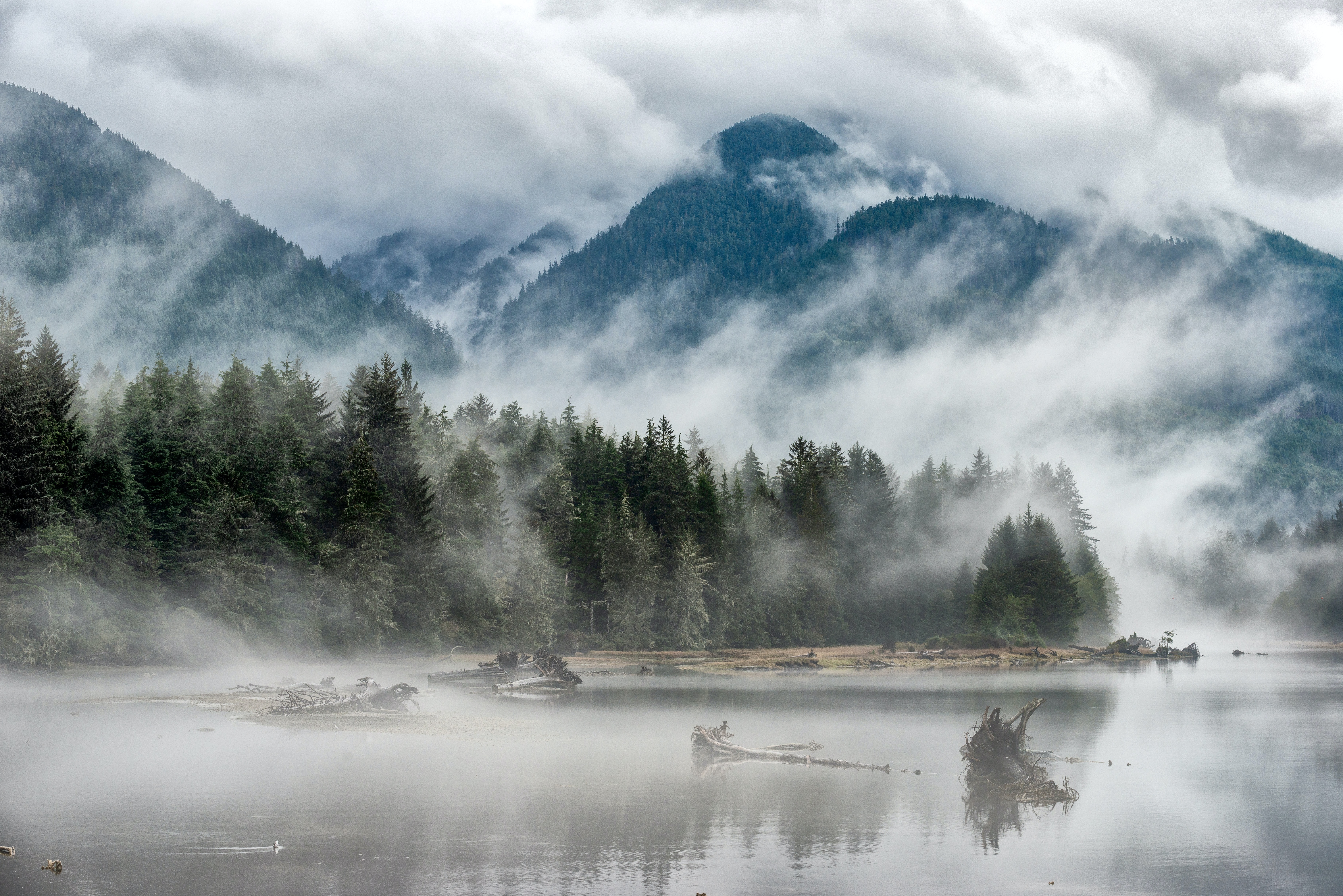 Fog mountains. Горы в тумане. Туманный пейзаж. Лес в тумане. Озеро в тумане.