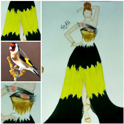 fashiondesign fashion design designer bird freetoedit