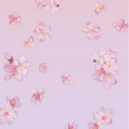 background wallpaper flower flowers