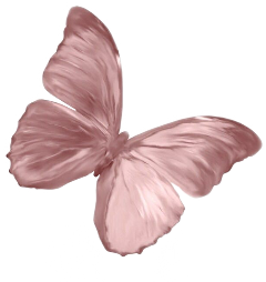 freetoedit borboleta butterfly png esthetic