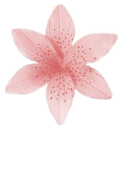 freetoedit flor florrosa flower flowerpink