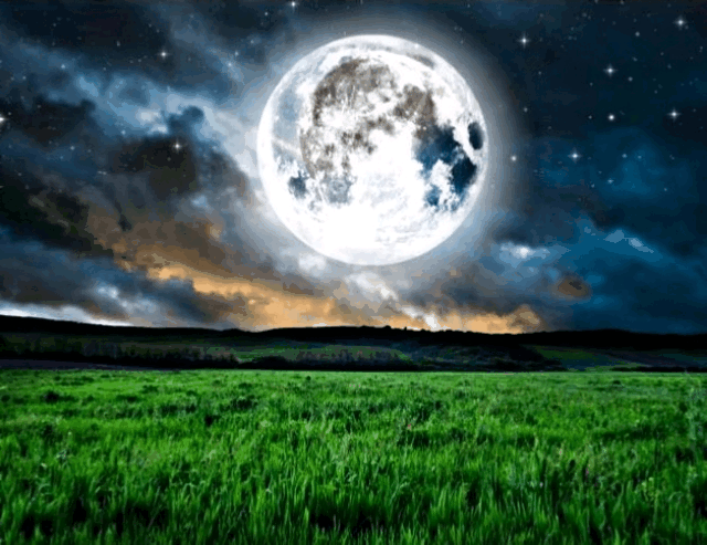 Ночное поле с луной. Природа луны. Трава ночью. Луна трава. Трава ночью.