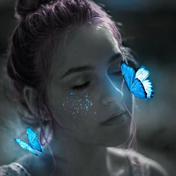 blue butterflies like b&w blackandwhite eccolorpop colorpop colorsplash