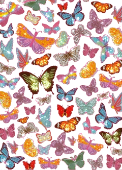 butterflies butterflys butterfly aesthetic freetoedit