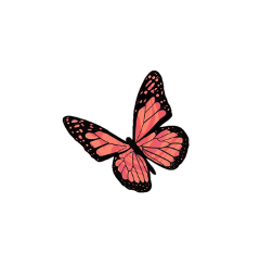 butterfly aesthetic freetoedit