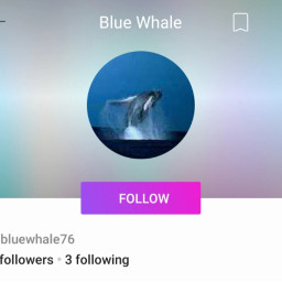 bluewhale nobluewhale stopbluewhale nobluewhaleaccounts nomorebluewhale stopbluewhalechallenge
