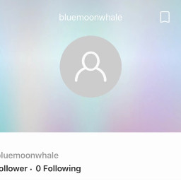 bluewhale stopbluewhale nobluewhaleaccounts nomorebluewhale stopbluewhalechallenge stopmomochallenge stopmomoaccounts stopmomo nomomochallenge nomomo