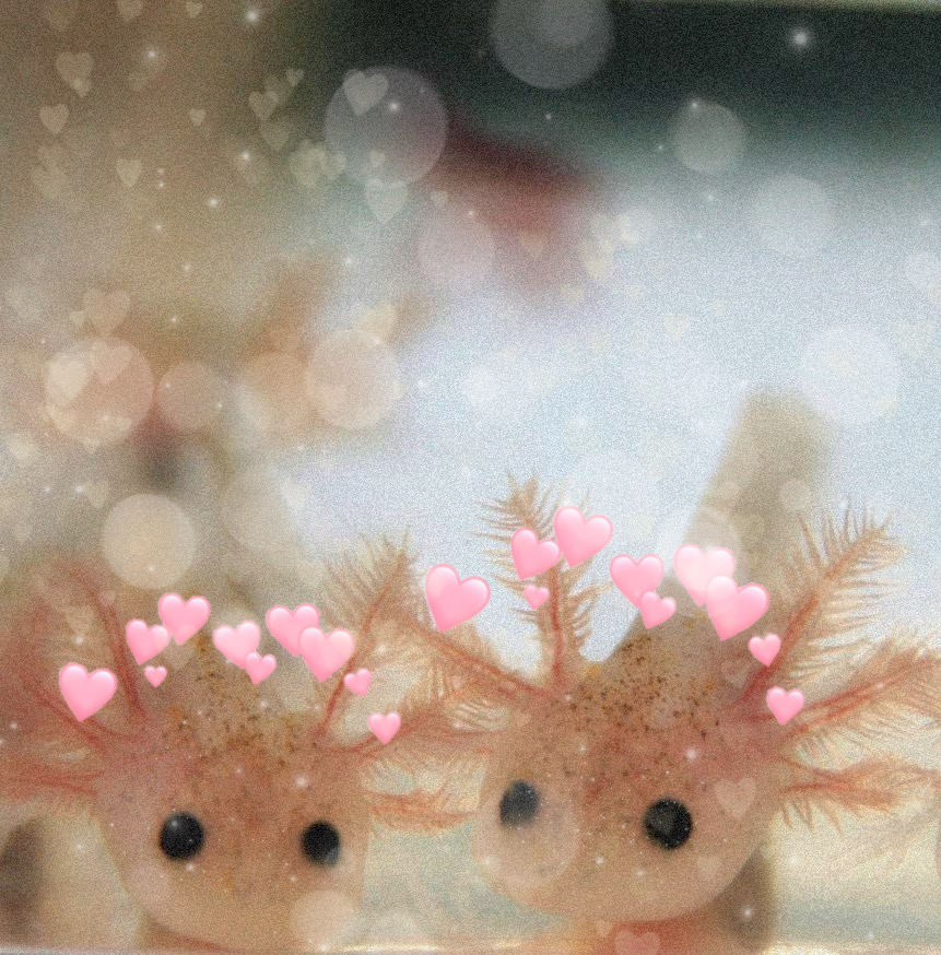 Baby Cute Axolotl By Fxck Mxxnlight