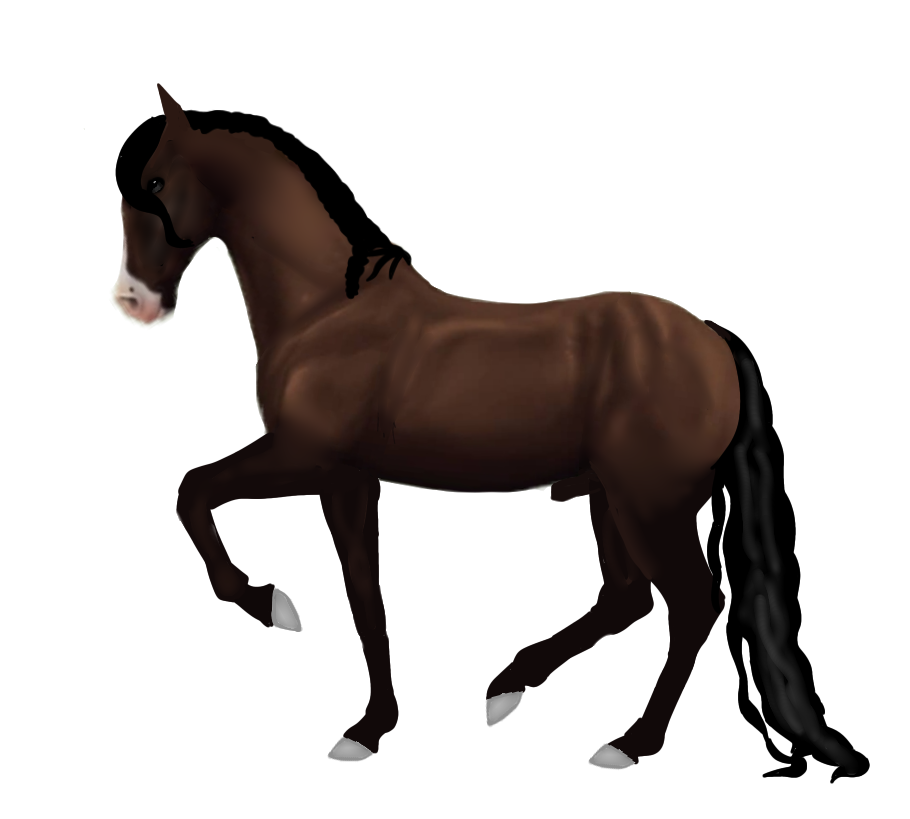 freetoedit sso ssohorse sticker by @katrinamakesstickers