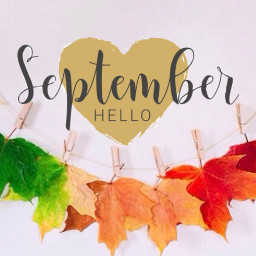 helloseptember text leaves leaveschanging colorfulautumn colorsoffall septembercoverphoto freetoedit
