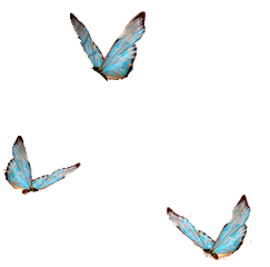 summer picsartjapan picsart art nature sky photography sticker butterfly freetoedit