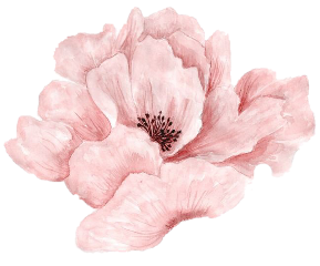 freetoedit sticker aesthetic vintage pink aestheticpink flower aestheticflower