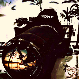 freetoedit camera sony sunset background palmtree🌴 photography fotoedit aesthetic palmtree