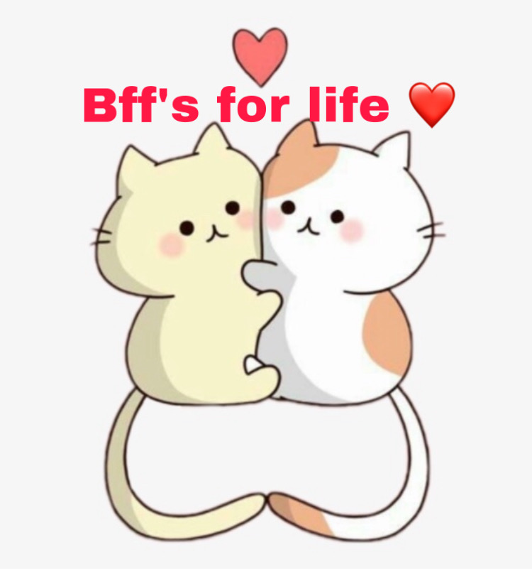 bff cat
