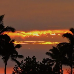 sunset hawaii fireinthesky pcgoldenhour goldenhour freetoedit