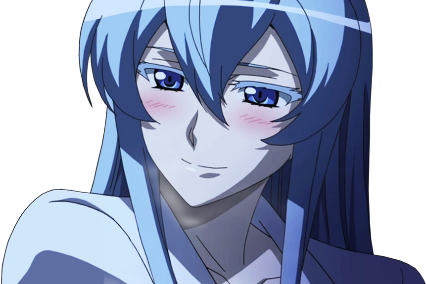 This visual is about esdeath freetoedit #Esdeath.