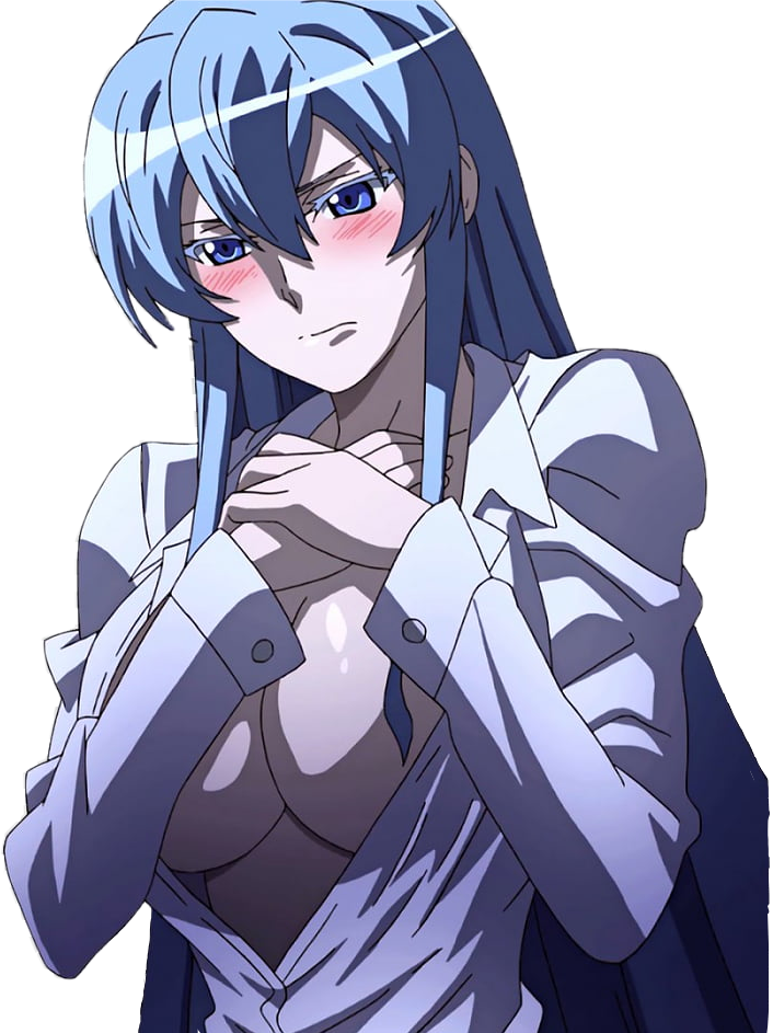 Anime Waifu Esdeath Akamegakill Sticker By Xxbluciano23 8882