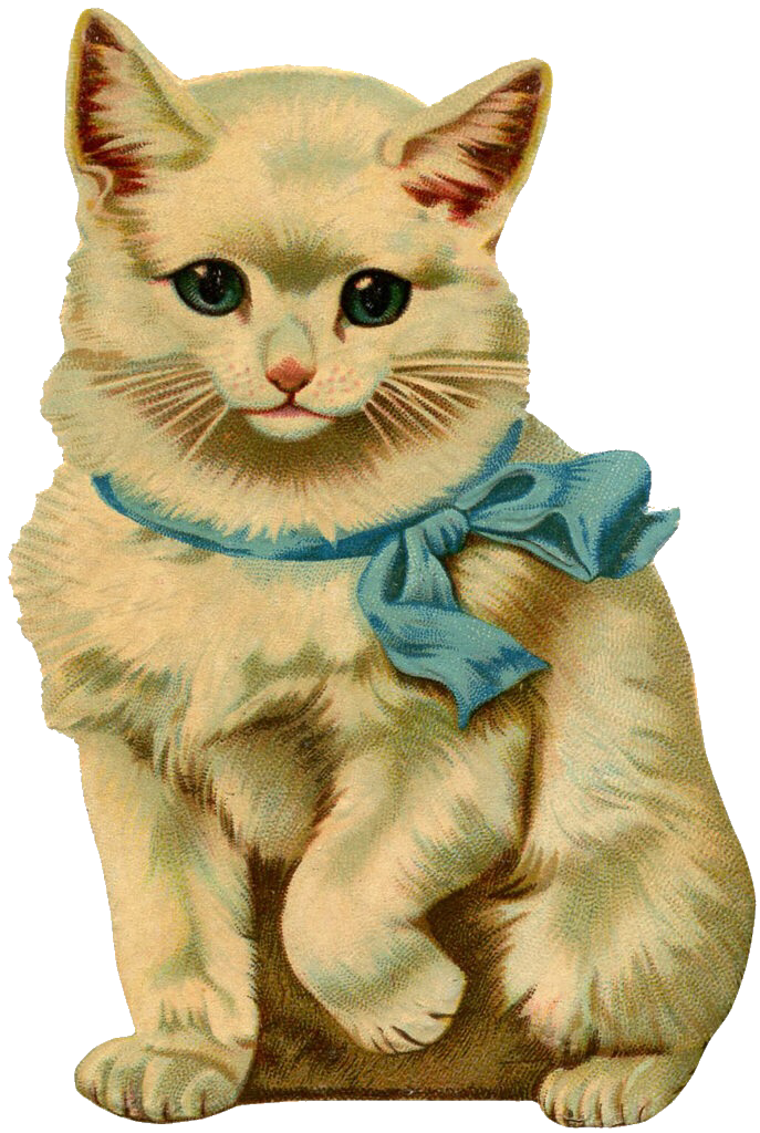 cat vintage retro illustration sticker by @toolyka