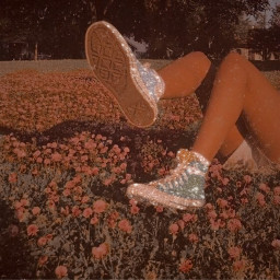 aesthetic 80saesthetic boujee cutie shoes wildflowers flowers converse glitter summer autumn love freetoedit