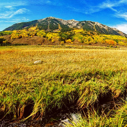 nature naturephotography crestedbutte colorado mountains stream grasslands colorful autumn scenery freetoedit