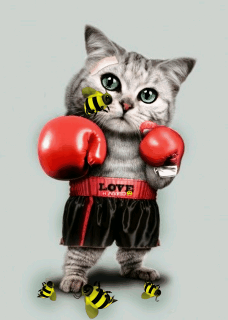 Remix Etc Myedit Gif By Aleksey Prontarsky Remix Etc Myedit Gif By Aleksey Prontarsky