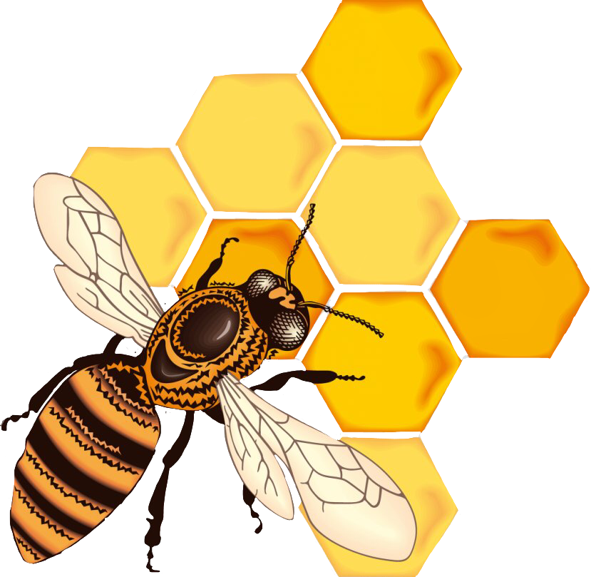 bee beehive honey honeycomb sticker sticker by @matilda_xo2