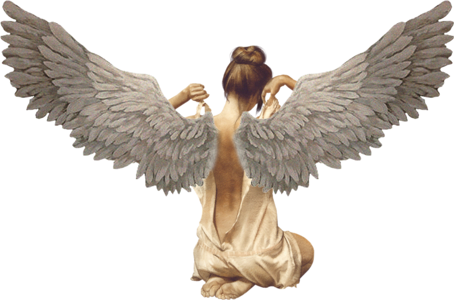 Freetoedit Girl Angel Wings Sticker By Elisabethdiangelo