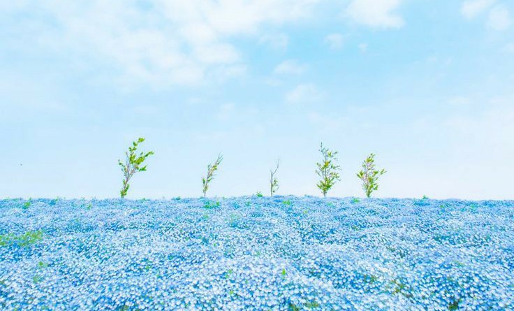Picsart banner for @hyucklvs