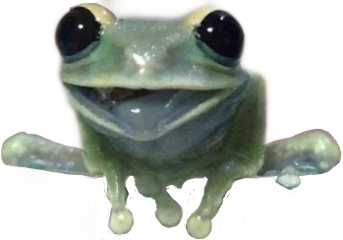 frog froggy frogtime cute sticker frogsticker freetoedit