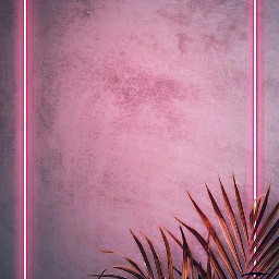 freetoedit music photography дляфото рамка рамочка основа розовый pink