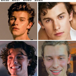 shawnmendes shawn mendes mendesarmy shawnie memes shawnmendesmemes