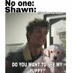shawnmendes shawn mendes mendesarmy shawnie memes shawnmendesmemes