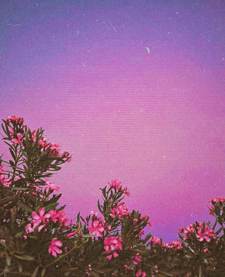 Mischen Similar Hashtags Picsart