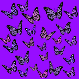 butterfly butterflyglitter glitter mariposa violet aestheticviolet shine cute morado blueberry color freetoedit