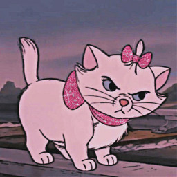 marie aesthetic aristocats icon profilepic freetoedit