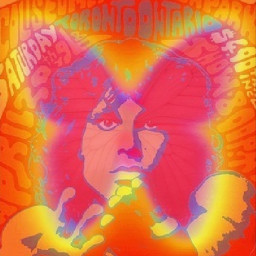 thedoors jimmorrison phychedelic butterfly poster bandposter hippy rock rockstar freetoedit