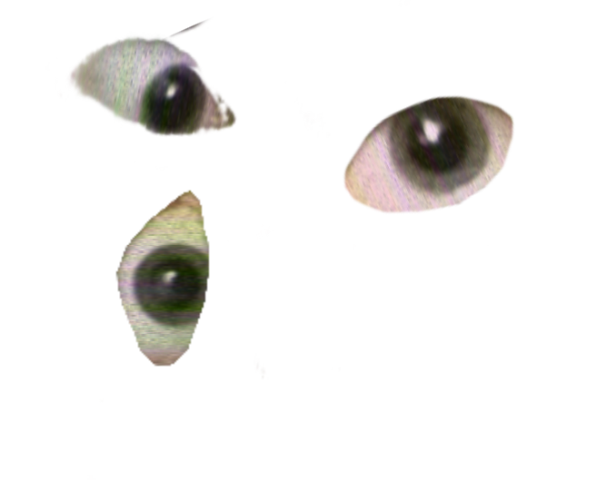 weirdcore eye 👁️